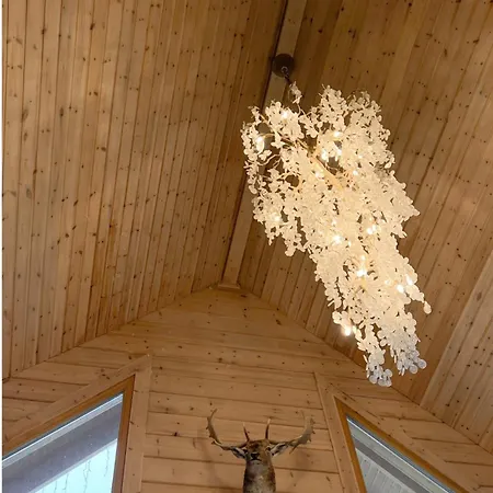 Rezidencia Woodchalet فيلكا لومنيكا