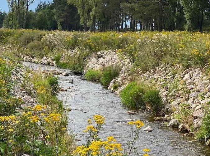 Rezidencia Woodchalet Alpesi faház *